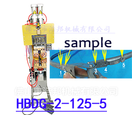 <span style='color:#3300CC'>2/鍍鋅扳手5點溶接定位機(jī)HBDN-2-125-5</span>